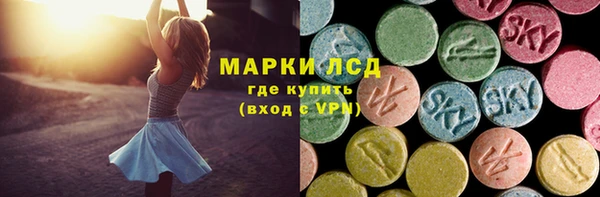 ГАЛЛЮЦИНОГЕННЫЕ ГРИБЫ Вязники