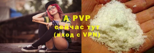 ГАЛЛЮЦИНОГЕННЫЕ ГРИБЫ Вязники