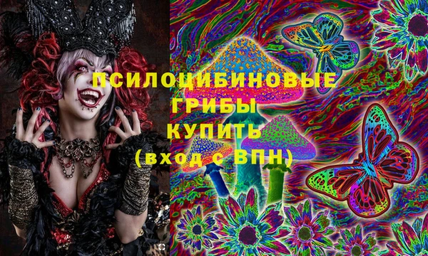 твердый Вязьма
