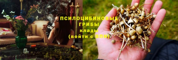ГАЛЛЮЦИНОГЕННЫЕ ГРИБЫ Вязники