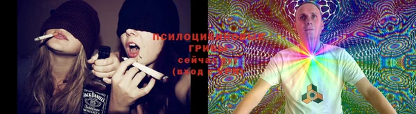 кокаин Вяземский