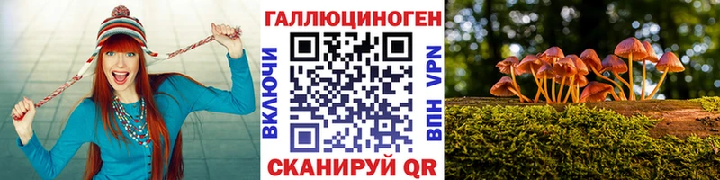 Галлюциногенные грибы MAGIC MUSHROOMS  мега зеркало  Электрогорск 